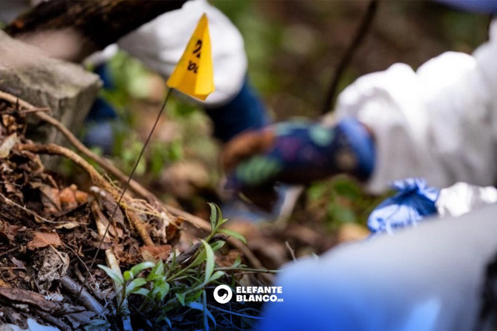 2025 cierra con más de 2 mil personas desaparecidas en CDMX