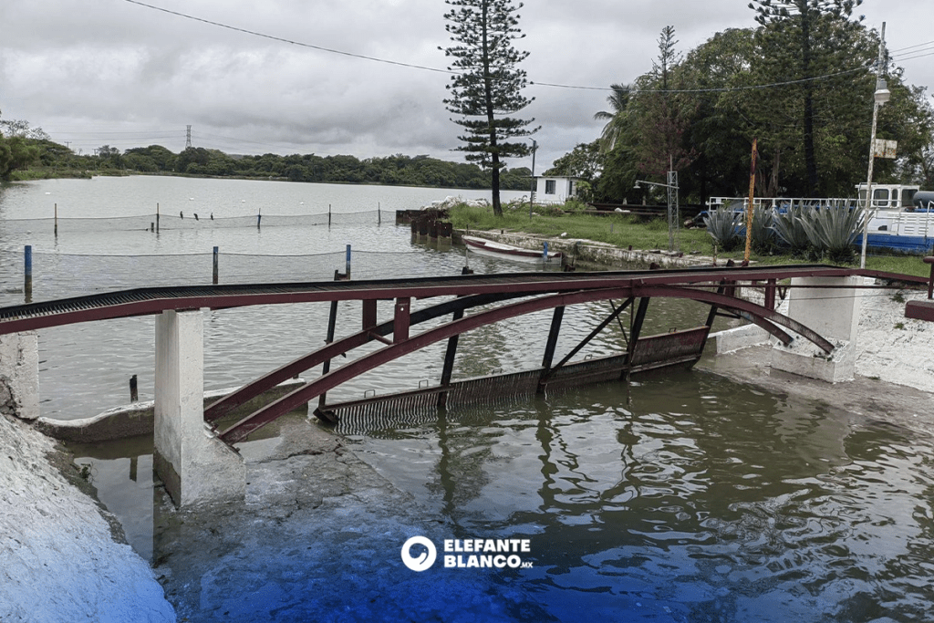 Estado asegura abasto 2026 para el centro y sur de Tamaulipas