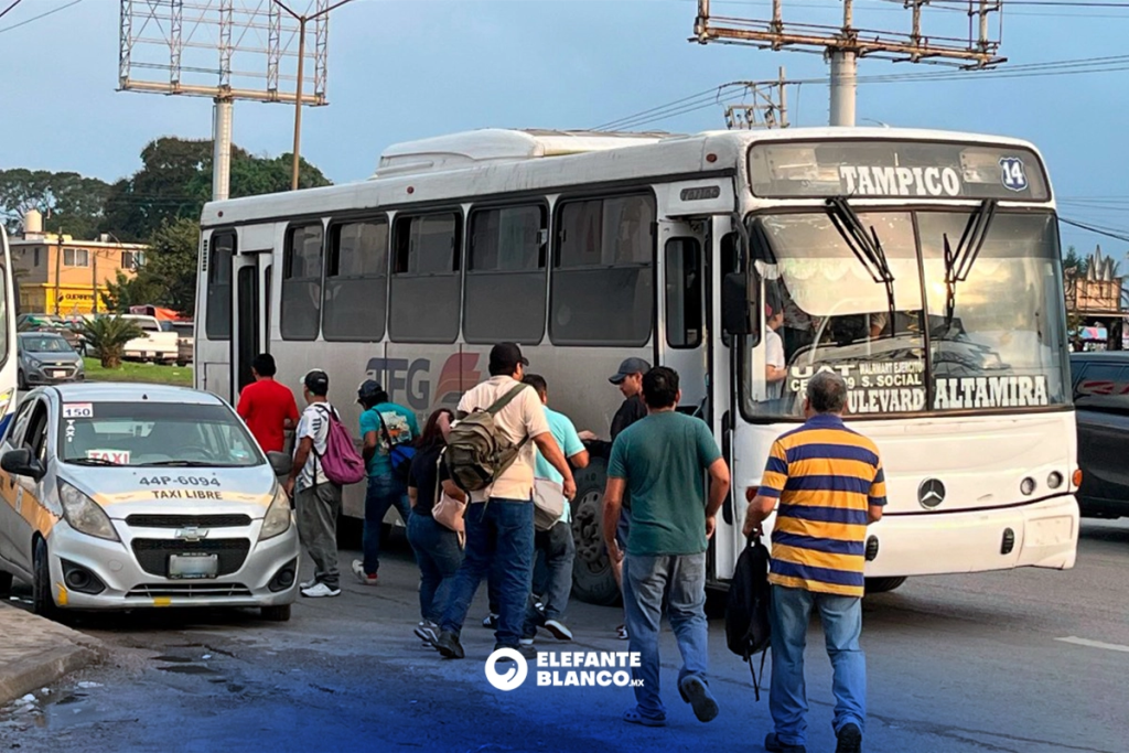 Transporte Público anuncia regularización con descuentos de 80%